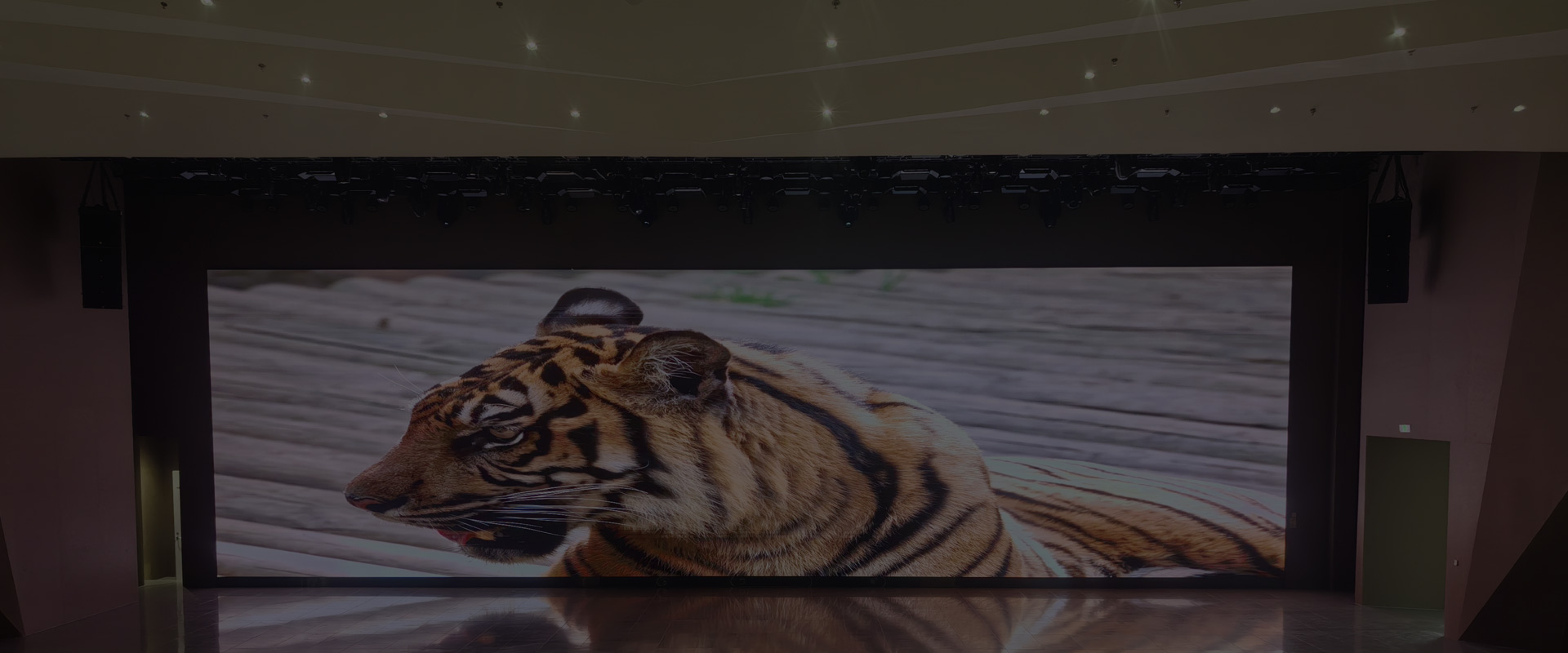 Shenzhen Meiyad Optoelectronics Co., Ltd.