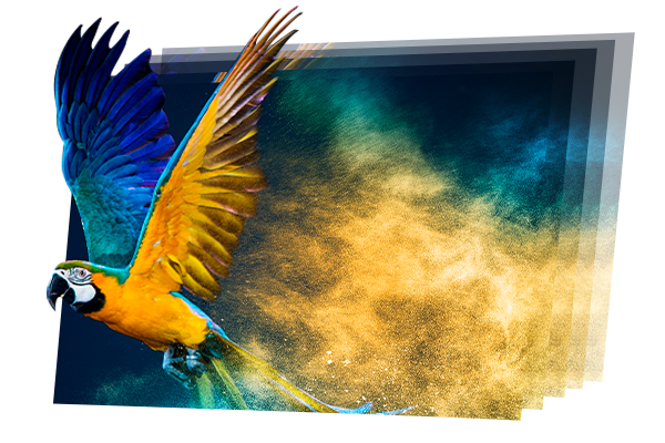 5 Fine pitch led screen XP series is low brightness high grayscale and high refresh rate.png